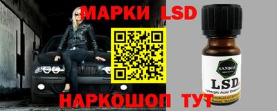 амф Гусев