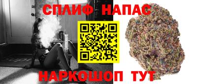 гашик Гусь-Хрустальный