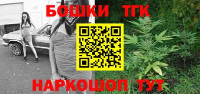 гашик Гусь-Хрустальный