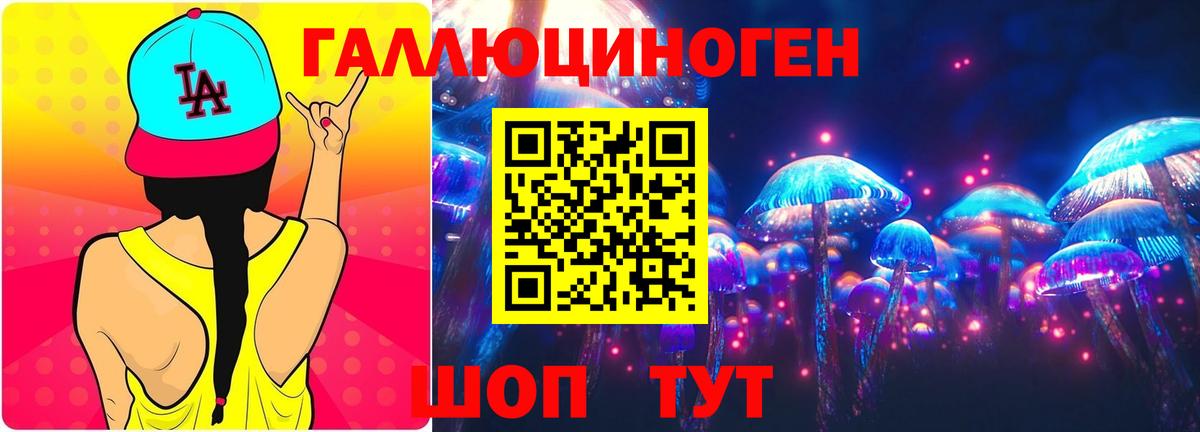 Псилоцибиновые грибы GOLDEN TEACHER  Вход с VPN  Можайск  Псилоцибиновые грибы MAGIC MUSHROOMS 